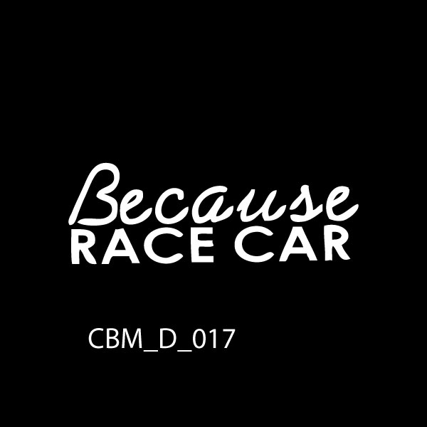 Because Race Car Stickers